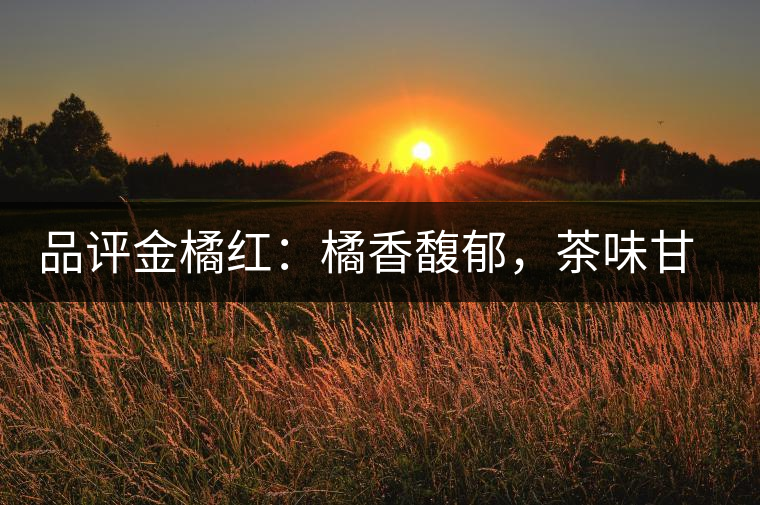 品評金橘紅：橘香馥郁，茶味甘醇，匠心拼配，臻于至善