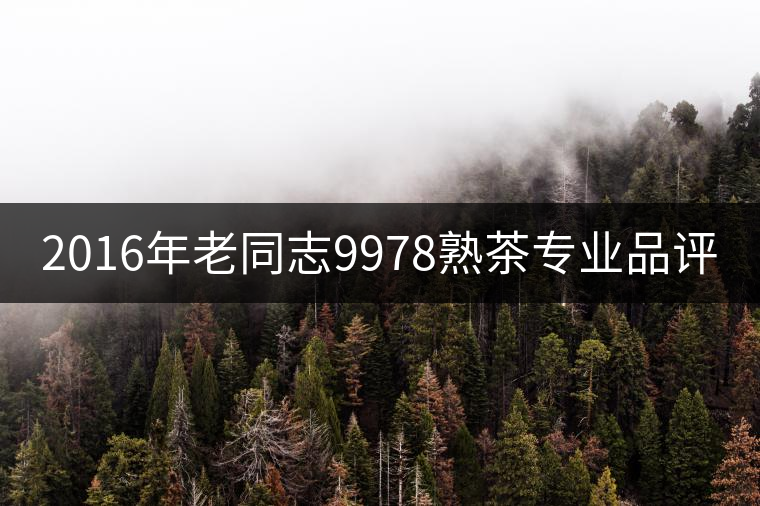 2016年老同志9978熟茶專業(yè)品評(píng)