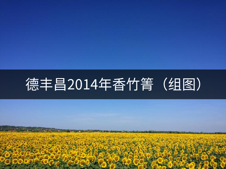 德豐昌2014年香竹箐（組圖）