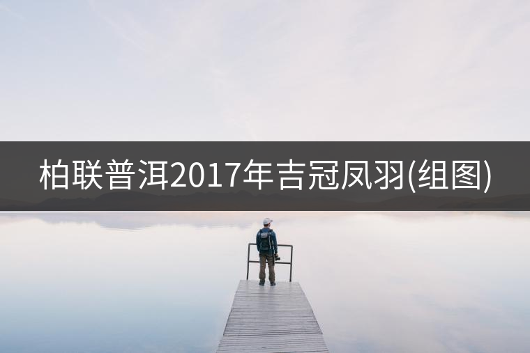柏聯普洱2017年吉冠鳳羽(組圖)
