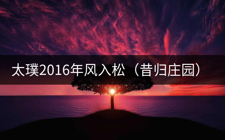 太璞2016年風入松（昔歸莊園）專業(yè)品鑒