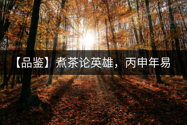 【品鑒】煮茶論英雄，丙申年易武麻黑