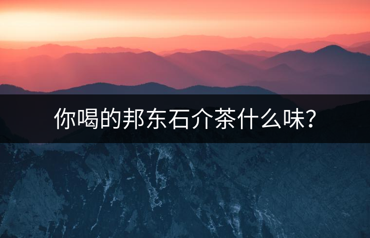 你喝的邦東石介茶什么味？