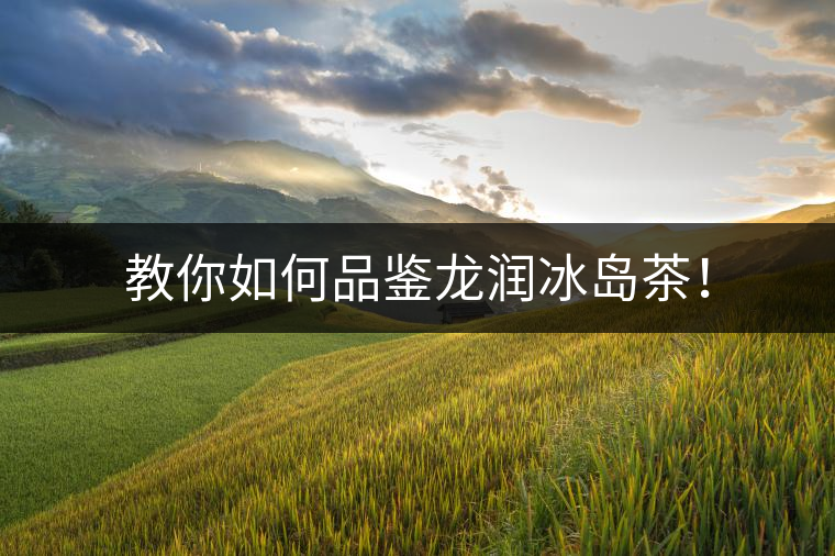 教你如何品鑒龍潤冰島茶！