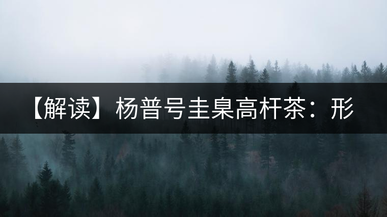 【解讀】楊普號圭臬高桿茶：形高、氣足、韻遠的一款茶