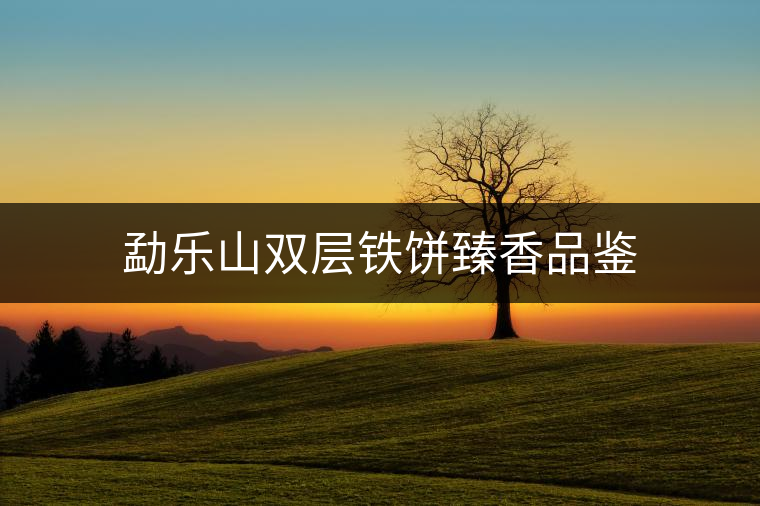 勐樂(lè)山雙層鐵餅臻香品鑒