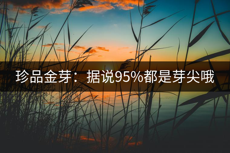 珍品金芽：據(jù)說(shuō)95%都是芽尖哦