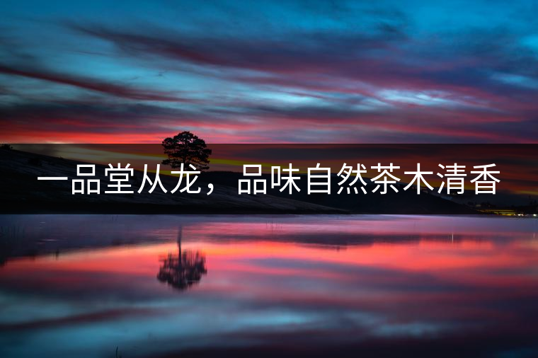 一品堂從龍，品味自然茶木清香