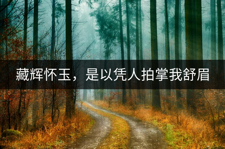 藏輝懷玉，是以憑人拍掌我舒眉