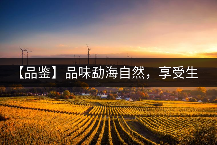 【品鑒】品味勐海自然，享受生活醇香