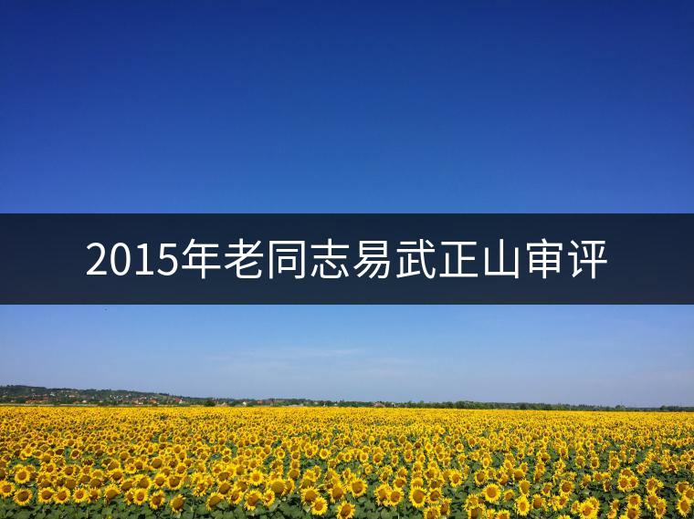 2015年老同志易武正山審評