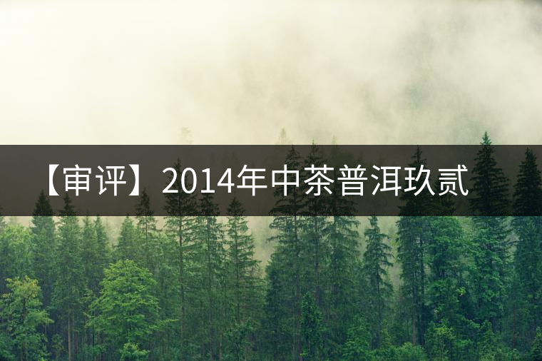 【審評】2014年中茶普洱玖貳方磚
