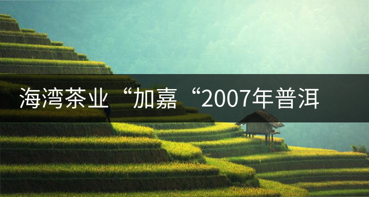 海灣茶業(yè)“加嘉“2007年普洱方磚(生茶)品評 海灣茶業(yè)“加嘉“2007年普洱方磚(生茶)品評