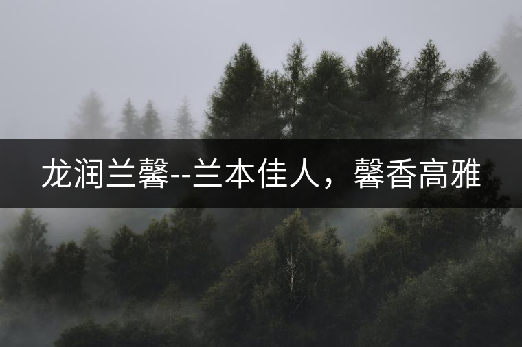 龍潤(rùn)蘭馨--蘭本佳人，馨香高雅