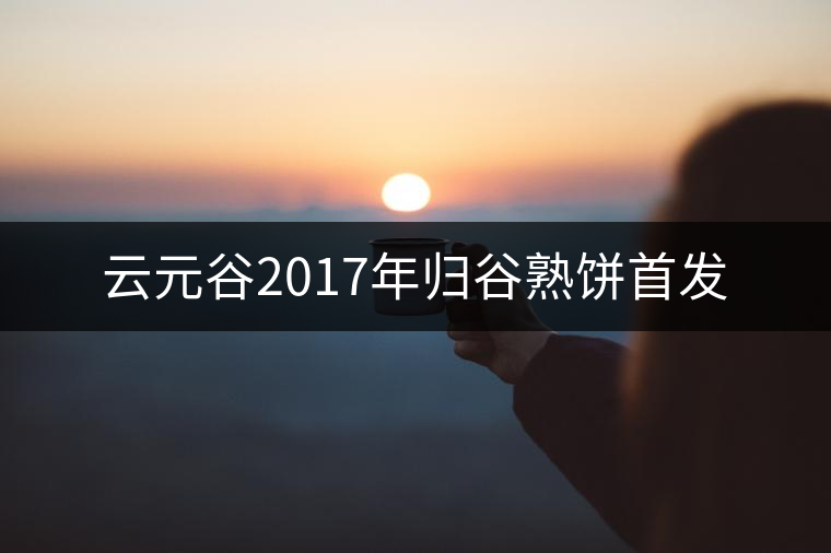 云元谷2017年歸谷熟餅首發(fā)
