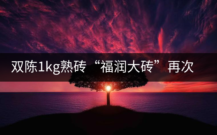 雙陳1kg熟磚“福潤(rùn)大磚”再次上市 雙陳1kg熟磚“福潤(rùn)大磚”再次上市