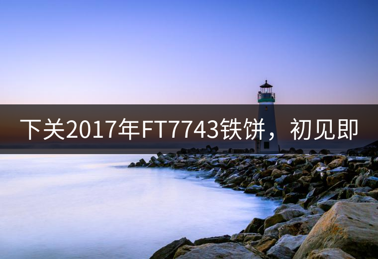 下關(guān)2017年FT7743鐵餅，初見(jiàn)即傾城!
