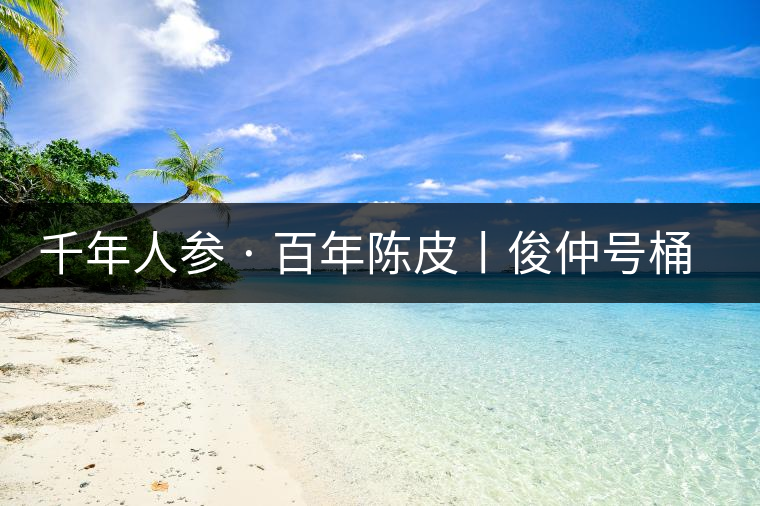 千年人參 · 百年陳皮丨俊仲號桶裝柑普茶豈止于大！