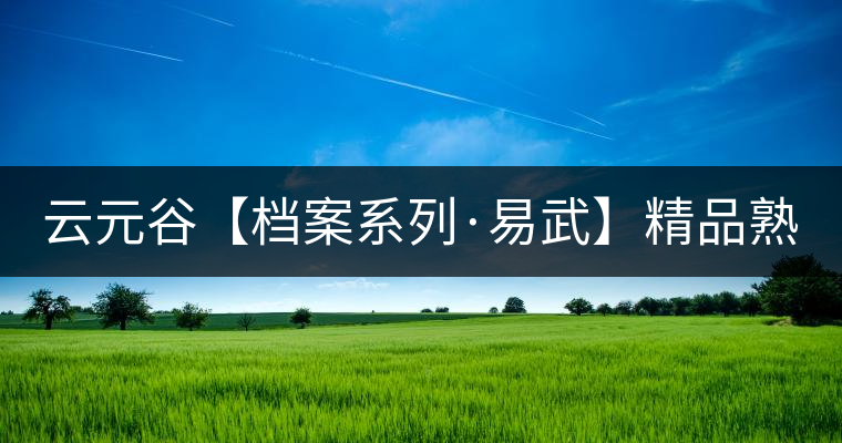 云元谷【檔案系列·易武】精品熟茶，精裝上市！