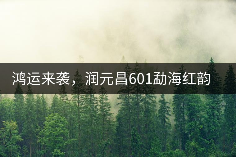 鴻運來襲，潤元昌601勐海紅韻熟茶即將上市
