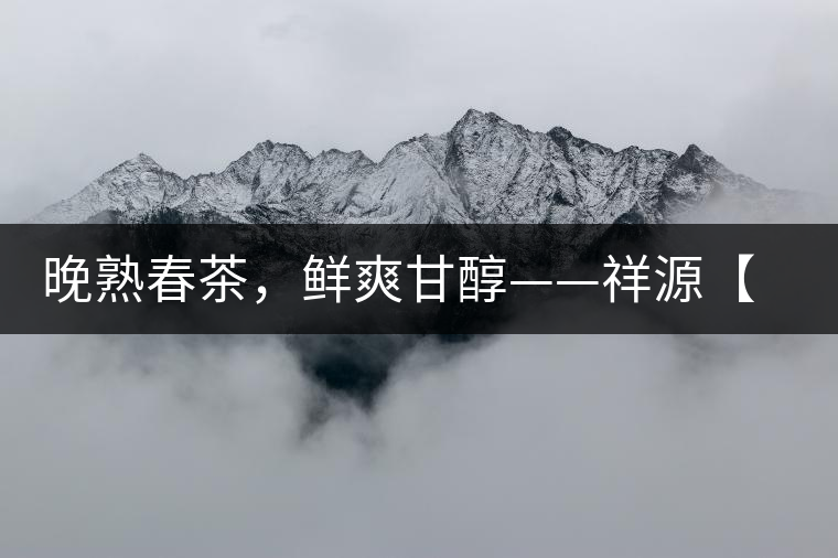 晚熟春茶，鮮爽甘醇——祥源【政和大白】清鮮上市