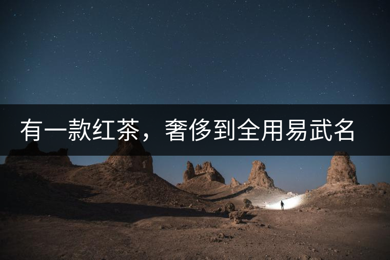 有一款紅茶，奢侈到全用易武名寨古樹茶發(fā)酵！