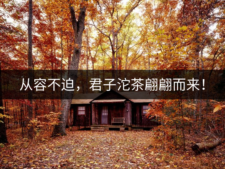 從容不迫，君子沱茶翩翩而來！