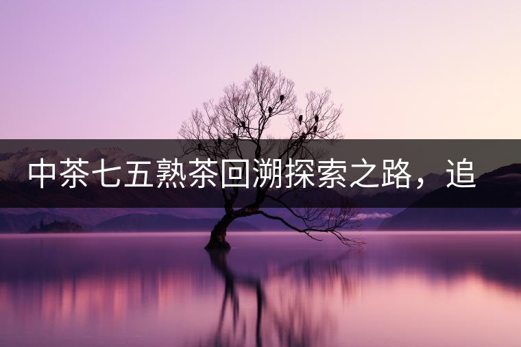 中茶七五熟茶回溯探索之路，追尋歷史印跡