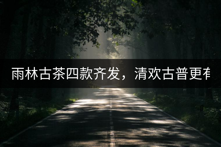 雨林古茶四款齊發(fā)，清歡古普更有味！