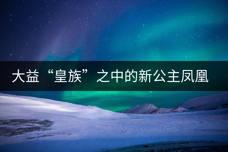 大益“皇族”之中的新公主鳳凰格格甜美來(lái)襲 大益“皇族”之中的新公主鳳凰格格甜美來(lái)襲