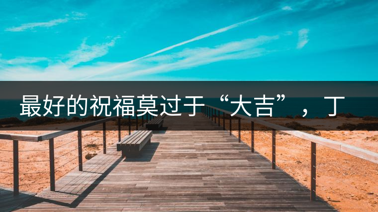 最好的祝福莫過于“大吉”，丁酉年生肖餅震撼來襲！