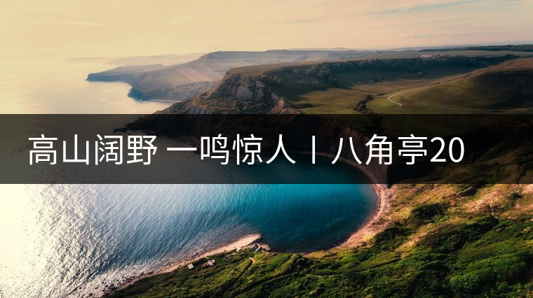 高山闊野 一鳴驚人〡八角亭2017年生肖紀(jì)念茶“高鳴”新春上市 高山闊野 一鳴驚人〡八角亭2017年生肖紀(jì)念茶“高鳴”新春上市
