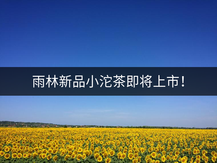雨林新品小沱茶即將上市！