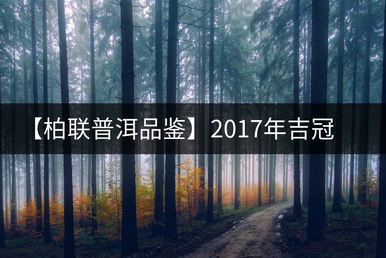 【柏聯(lián)普洱品鑒】2017年吉冠鳳羽