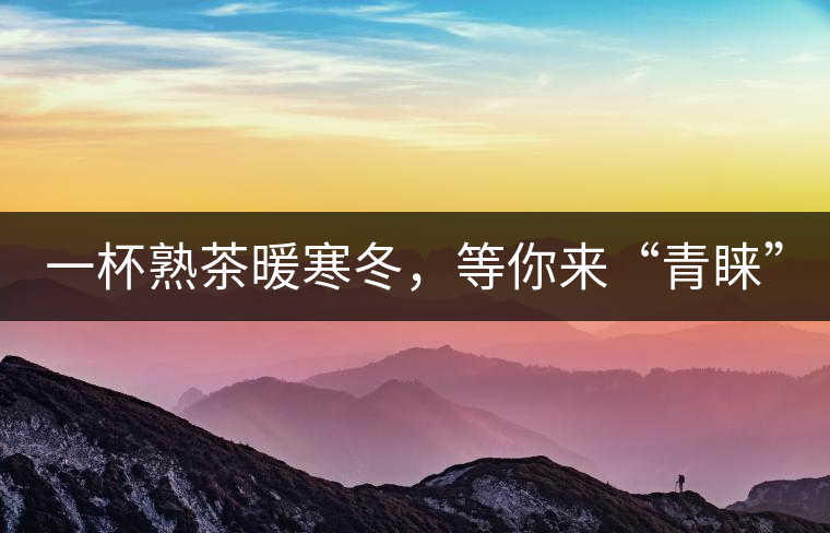 一杯熟茶暖寒冬，等你來(lái)“青睞”