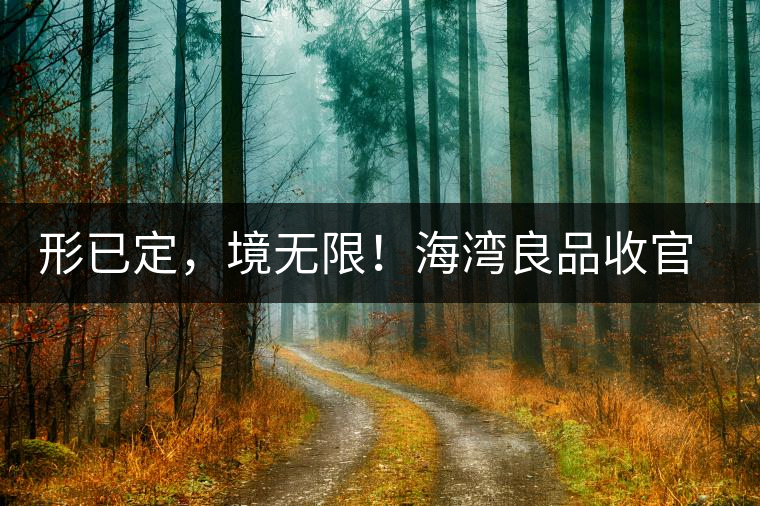 形已定，境無(wú)限！海灣良品收官季『良禪品』