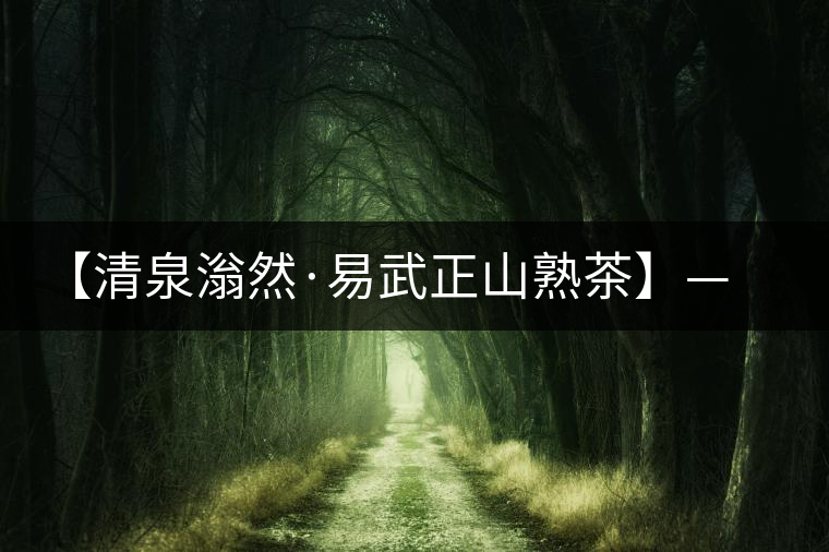 【清泉滃然·易武正山熟茶】——熨帖冬季的寒冷，來(lái)的正是時(shí)候！