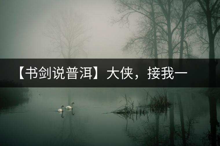 【書劍說(shuō)普洱】大俠，接我一棒