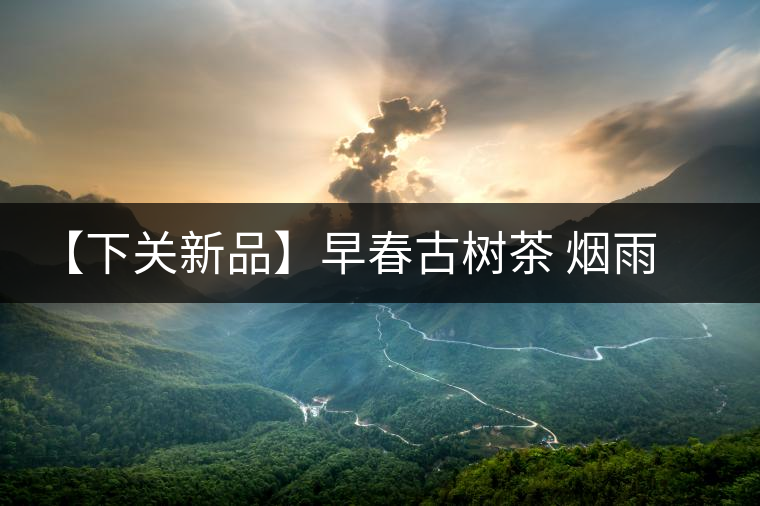 【下關新品】早春古樹茶 煙雨意濃濃