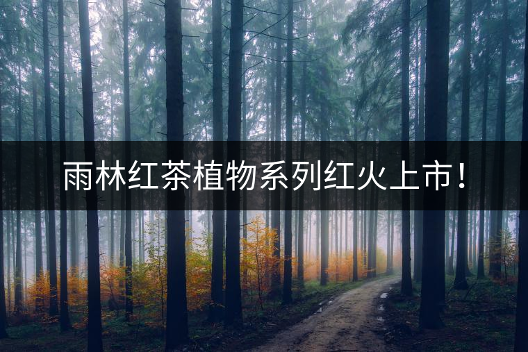 雨林紅茶植物系列紅火上市！
