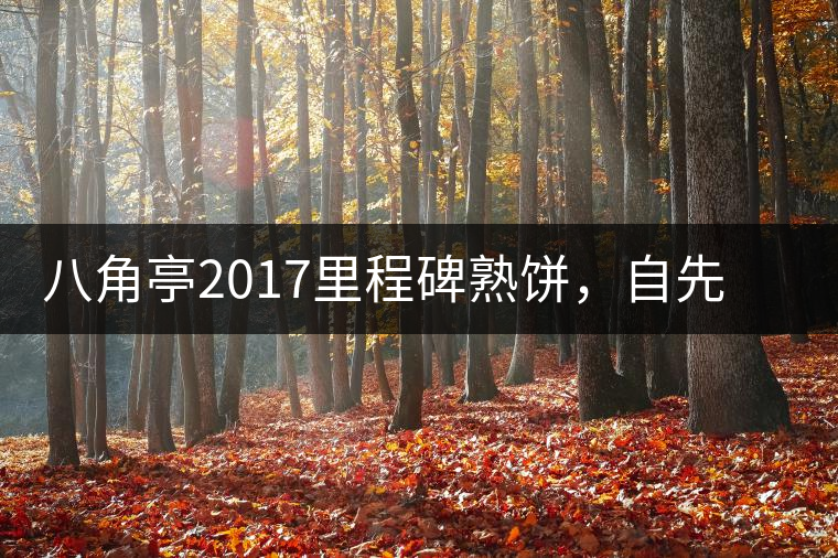 八角亭2017里程碑熟餅，自先發(fā)酵而后愛人