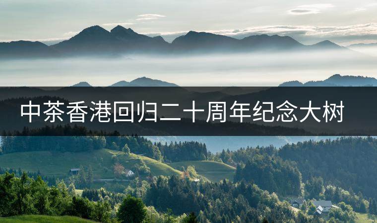 中茶香港回歸二十周年紀念大樹普洱茶上市 中茶香港回歸二十周年紀念大樹普洱茶上市