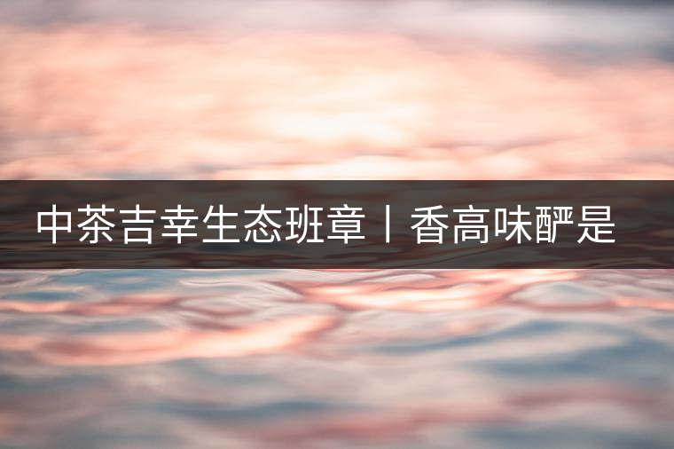中茶吉幸生態(tài)班章丨香高味釅是王者，且品且珍惜
