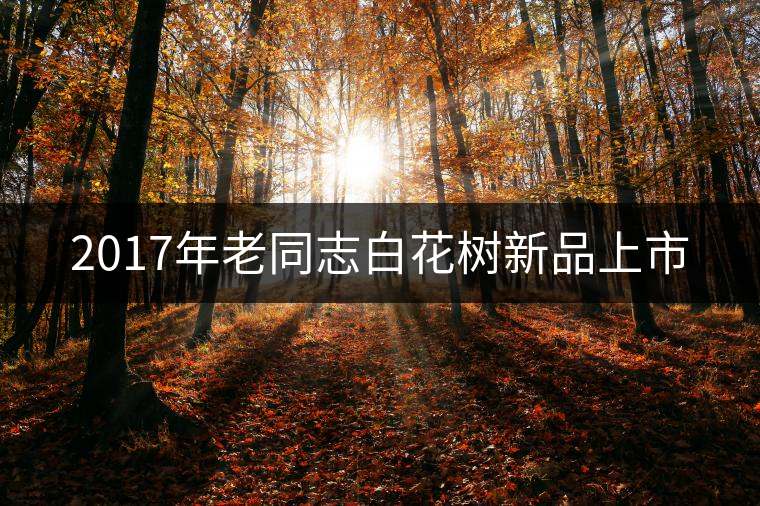 2017年老同志白花樹(shù)新品上市 2017年老同志白花樹(shù)新品上市