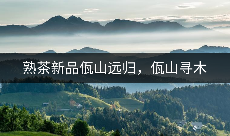 熟茶新品佤山遠(yuǎn)歸，佤山尋木