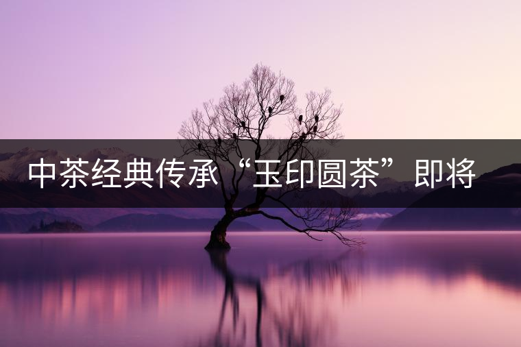 中茶經(jīng)典傳承“玉印圓茶”即將上市 中茶經(jīng)典傳承“玉印圓茶”即將上市