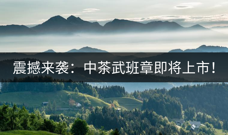 震撼來襲：中茶武班章即將上市！