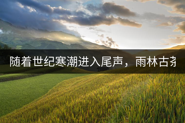 隨著世紀(jì)寒潮進(jìn)入尾聲，雨林古茶坊