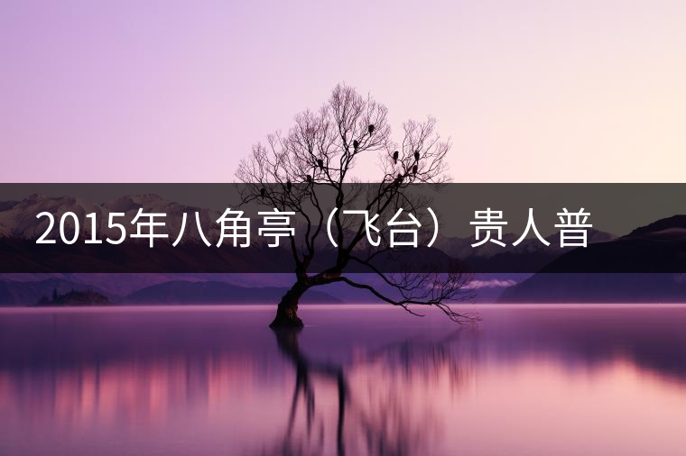 2015年八角亭(飛臺(tái))貴人普洱茶生茶上市 2015年八角亭(飛臺(tái))貴人普洱茶生茶上市