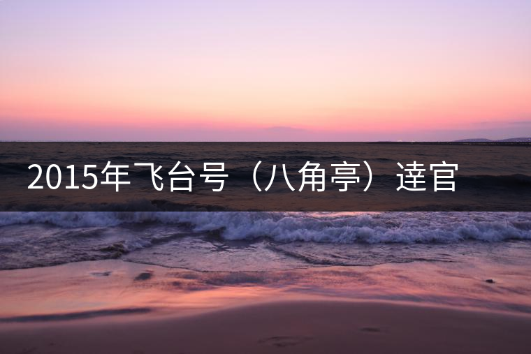 2015年飛臺(tái)號(hào)（八角亭）逹官普洱茶生茶上市